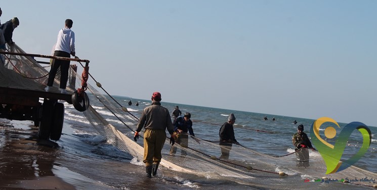 کاهش ۴۸ درصدی صید ماهی‌ در دریای مازندران/ زمان صید ماهی تمدید نمی‌شود