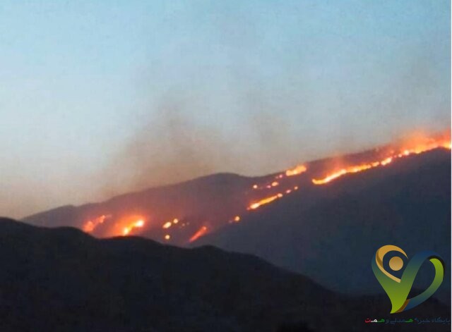  آتش‌سوزی گسترده در منطقه حفاظت شده خائیز/ درخواست کمک مسئولان کهگیلویه برای مهار آتش
