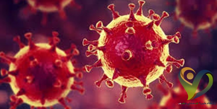  بزرگ‌ترین منبع ویروس کرونا شناسایی شد