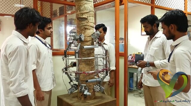  هندی‌ها برای چیدن نارگیل، ربات ساختند