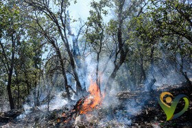  آتش سوزی در ارتفاعات”کوه پات” کهگیلویه/ تلاش برای مهار آتش ادامه دارد