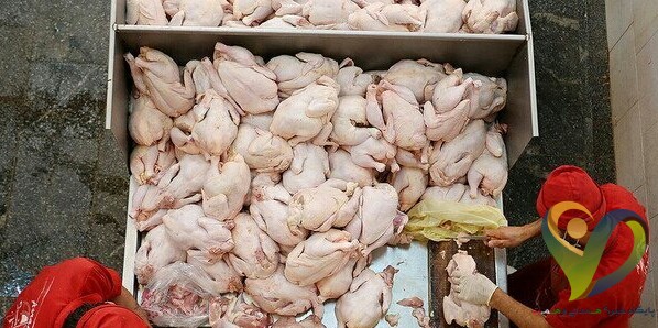  مرغ بیشتر از ۲۳ هزار تومان گرانفروشی است